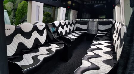 Party Bus3 Party Bus3